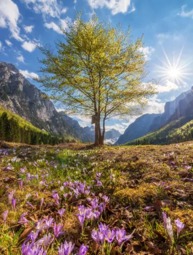 Patrick Multi Shoot Full